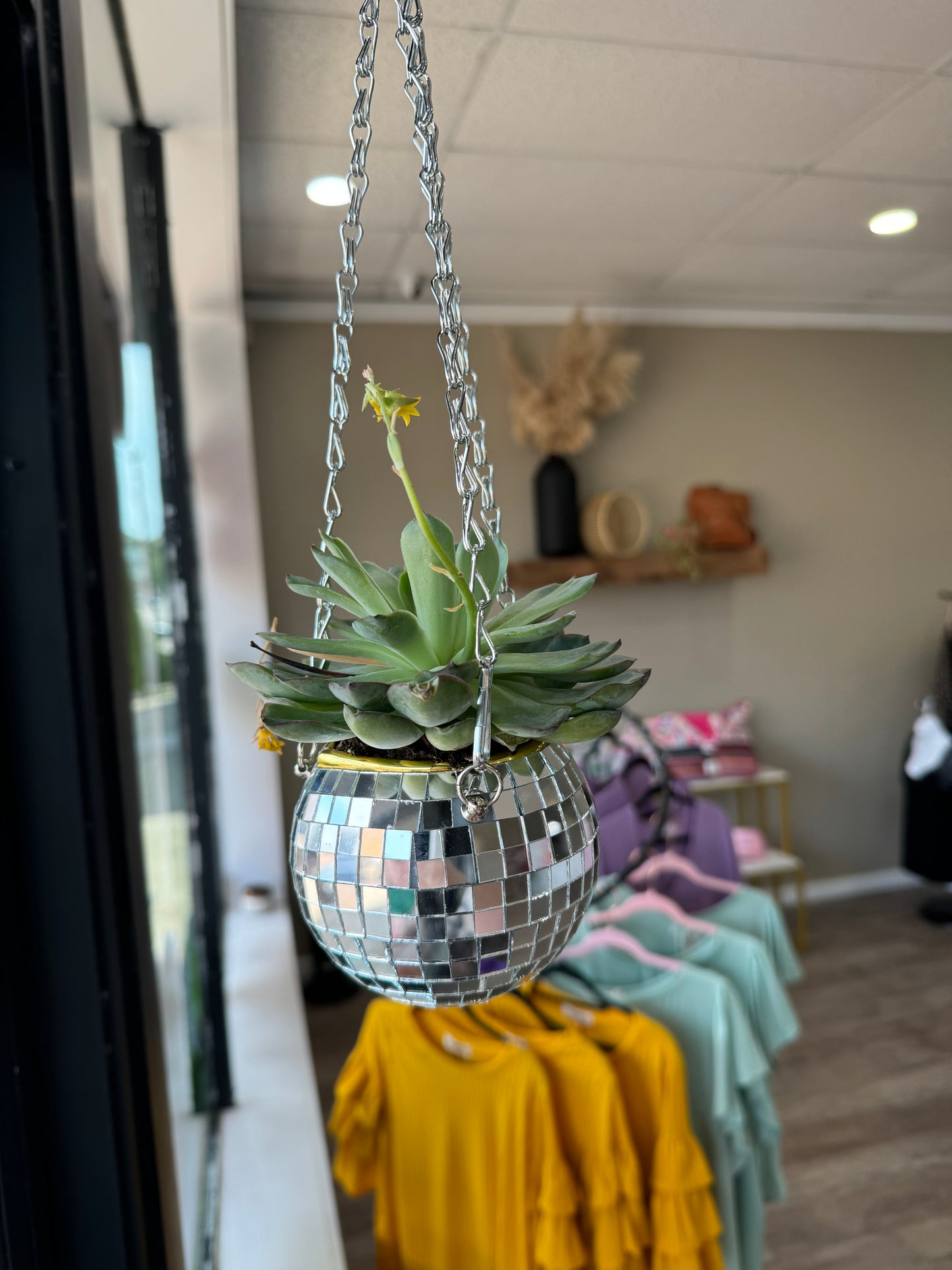 Disco ball planter with real succulent