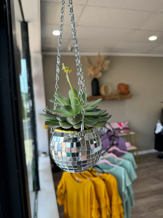 Disco ball planter with real succulent